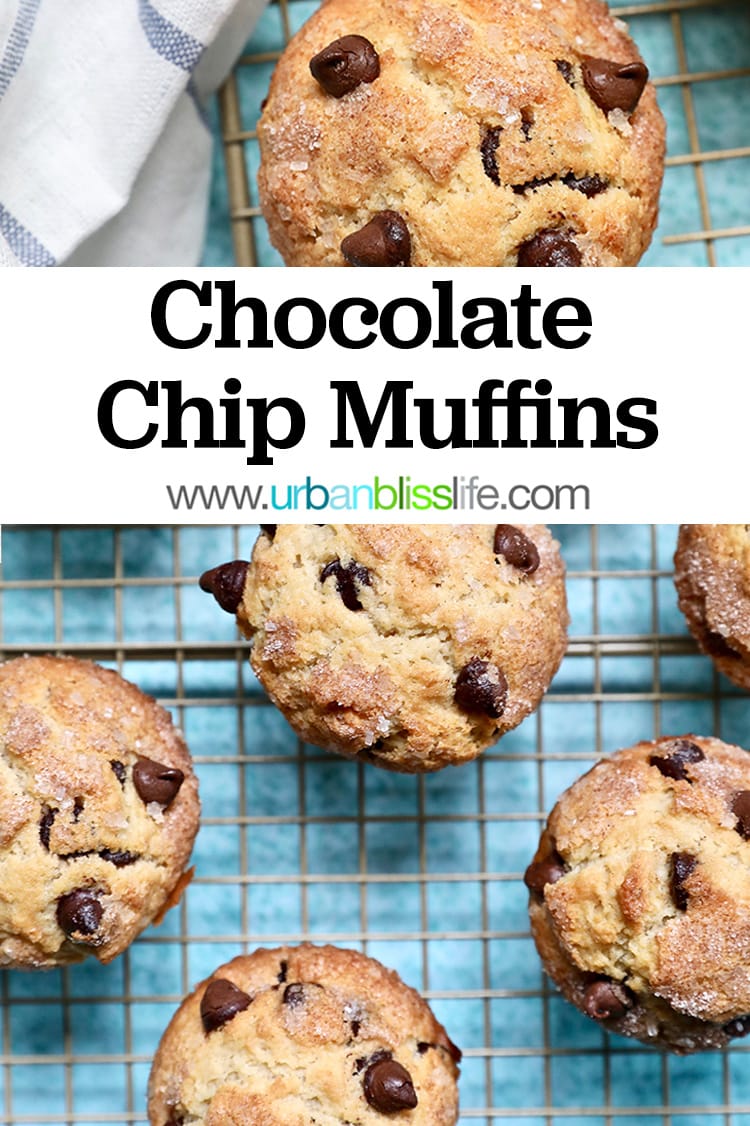 Chocolate Chip Muffins