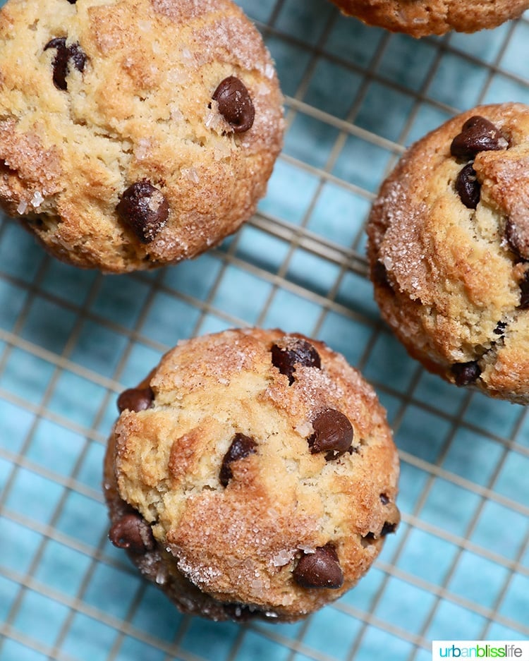 Chocolate Chip Muffins