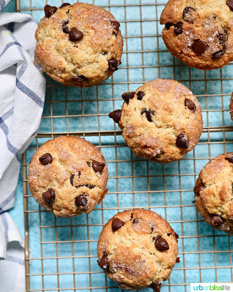 Mini Chocolate Chip Muffins