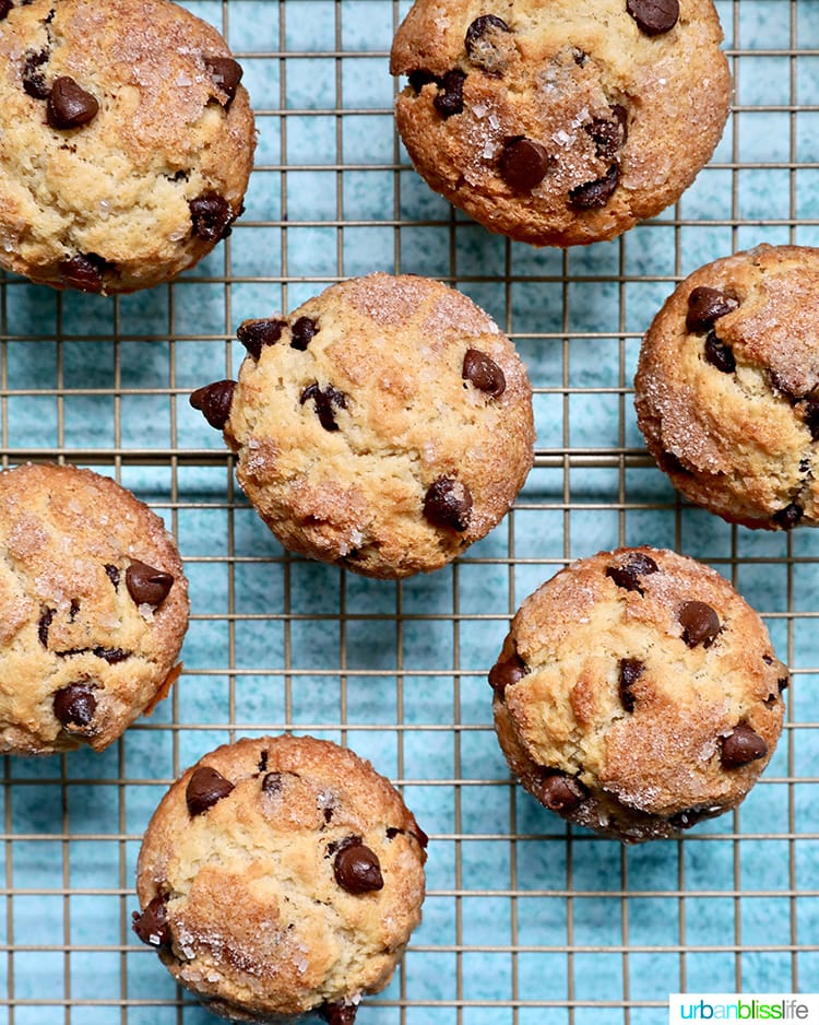 the best Chocolate Chip Muffins