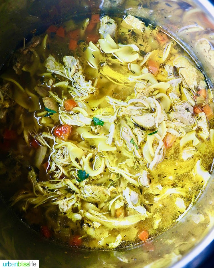 Instant Pot Chicken Noodle Soup