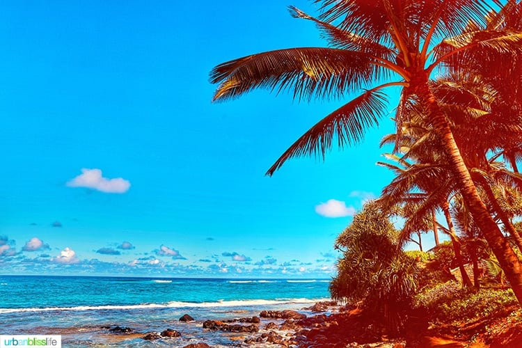 Poipu beach at Mama's Fish House in Maui