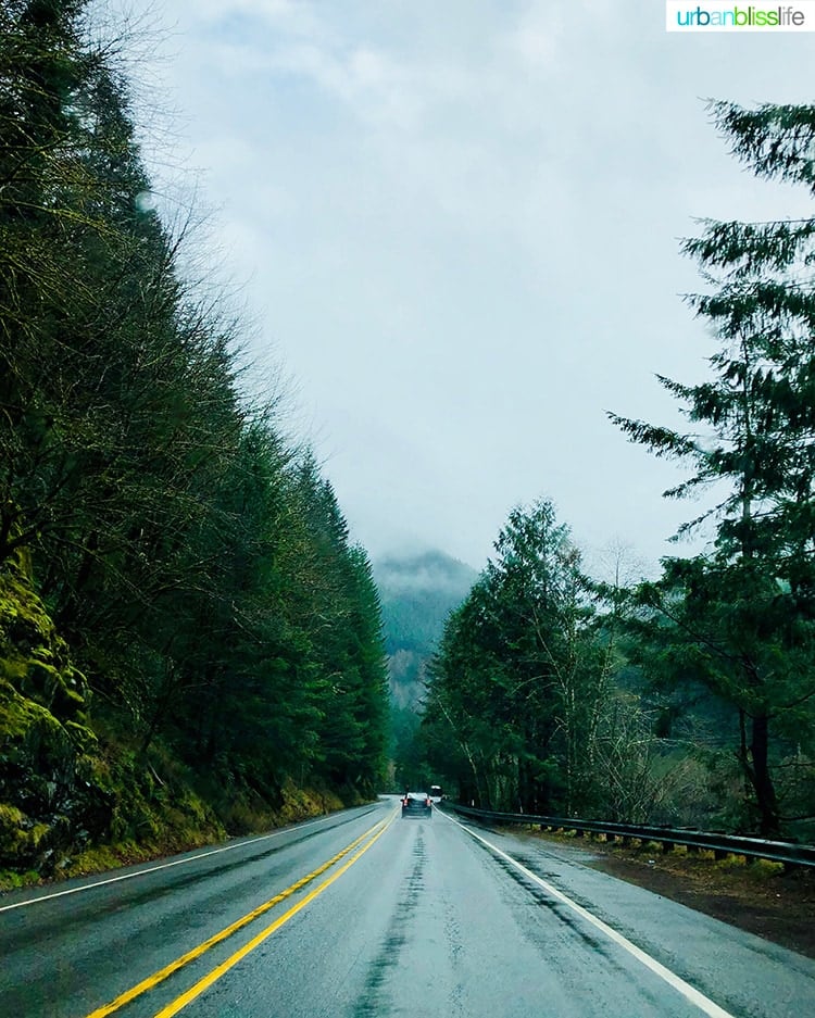 pacific northwest rainy road trip