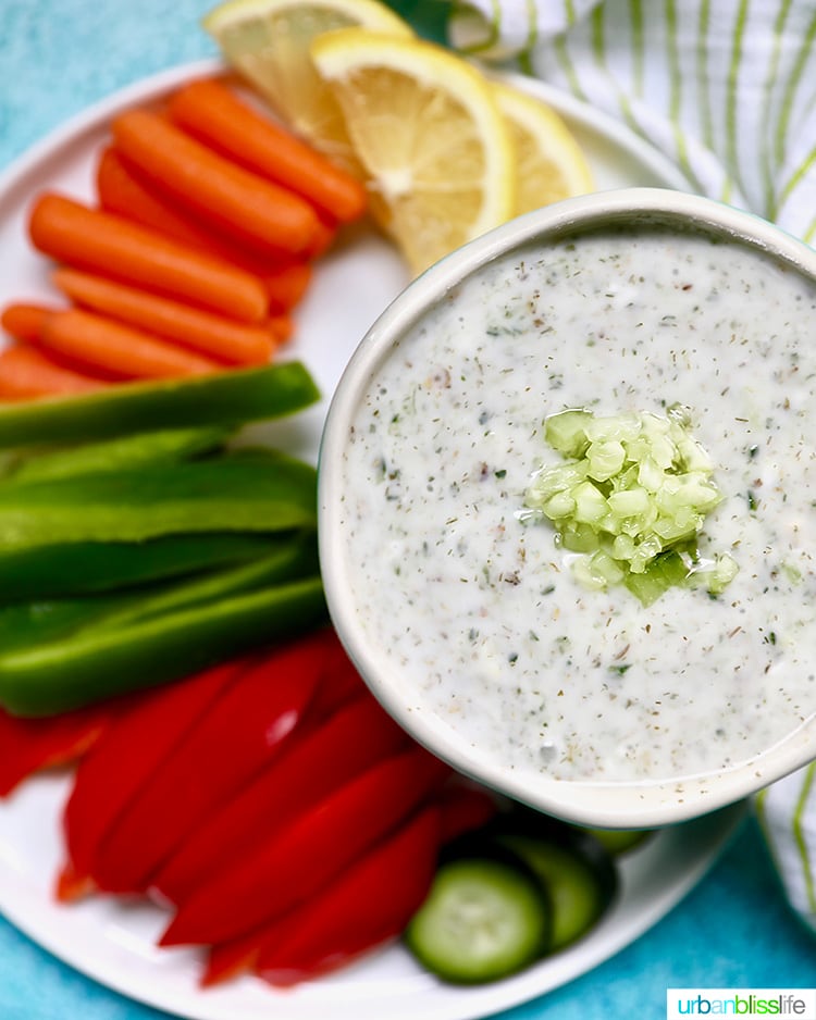 vegan tzatziki veggie dip