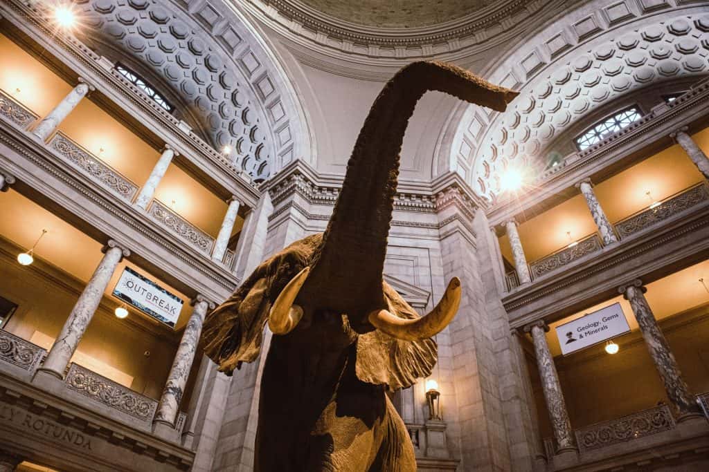 national museum of natural history