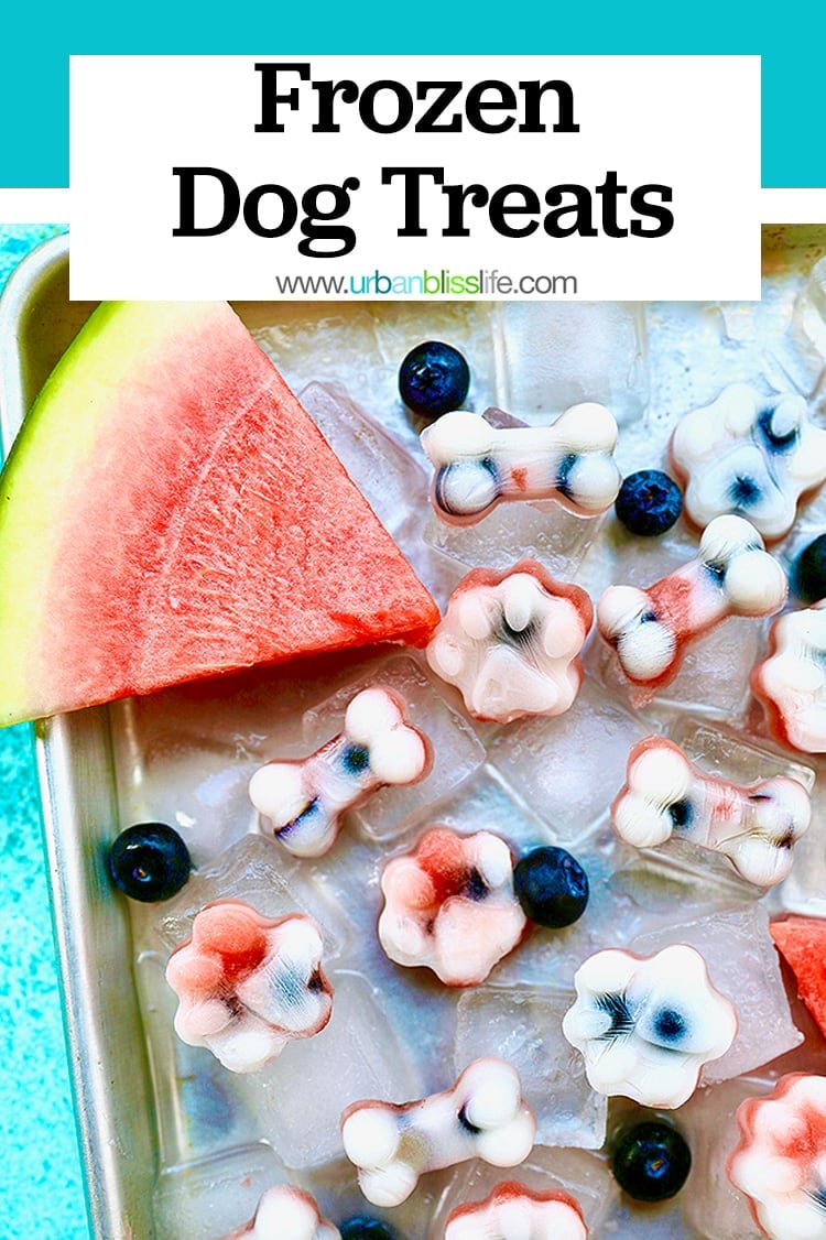 Frozen dog treats: watermelon, blueberry, yogurt dog treats