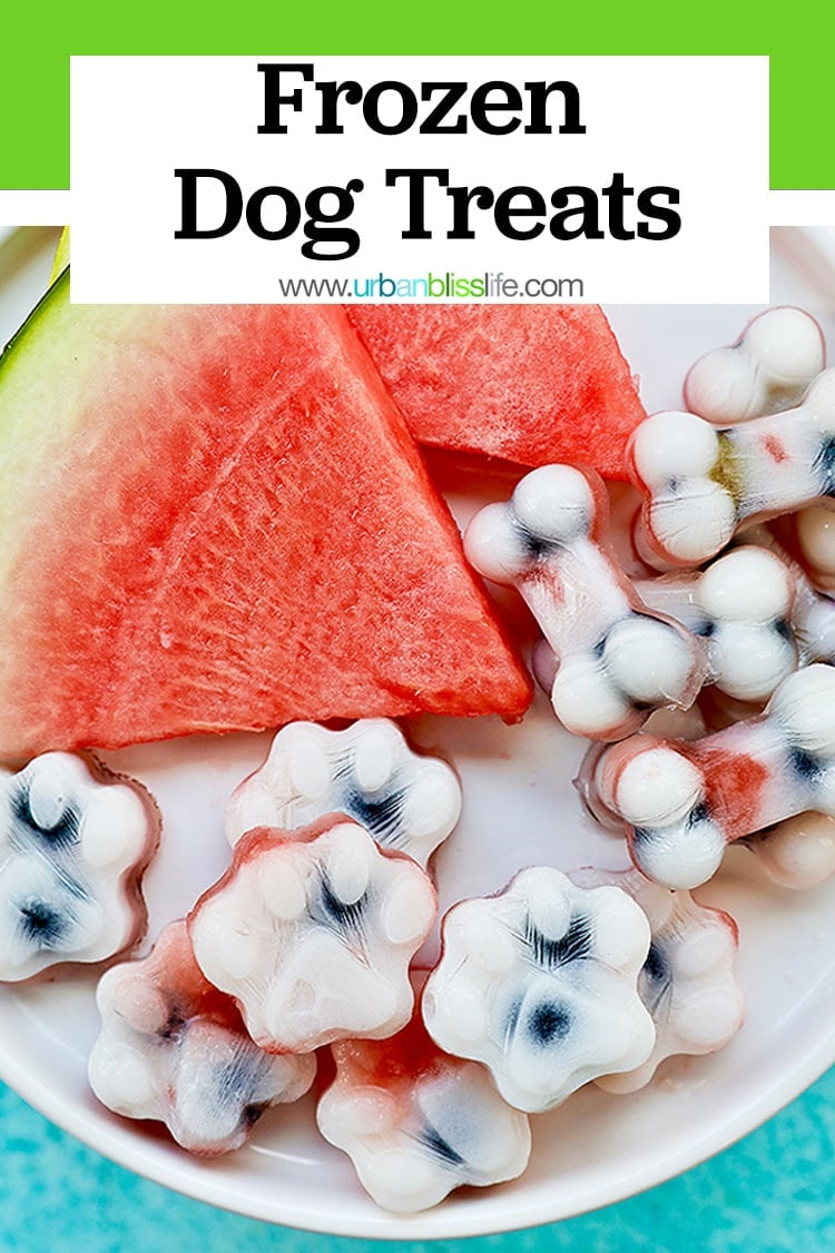 Frozen dog treats: watermelon, blueberry, yogurt dog treats