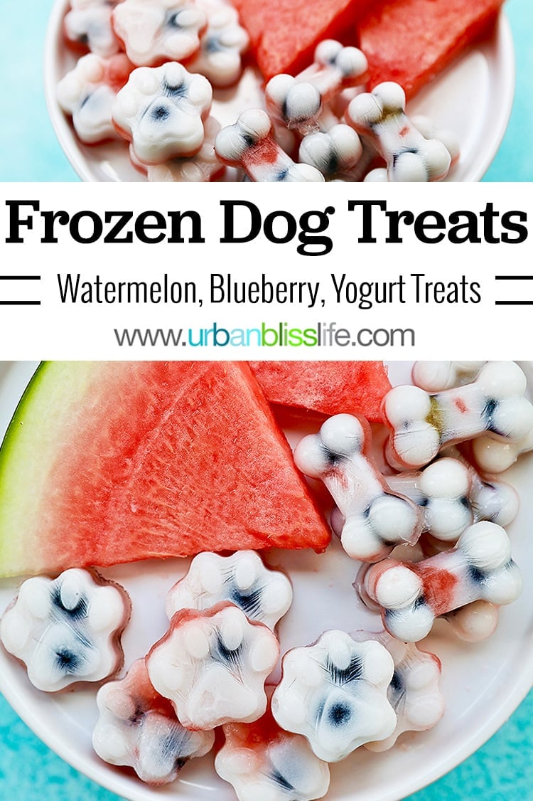 Frozen dog treats: watermelon, blueberry, yogurt dog treats