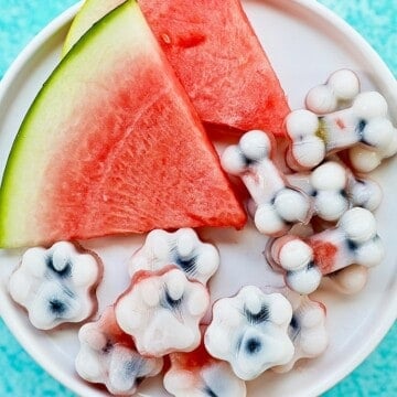 Frozen dog treats: watermelon, blueberry, yogurt dog treats