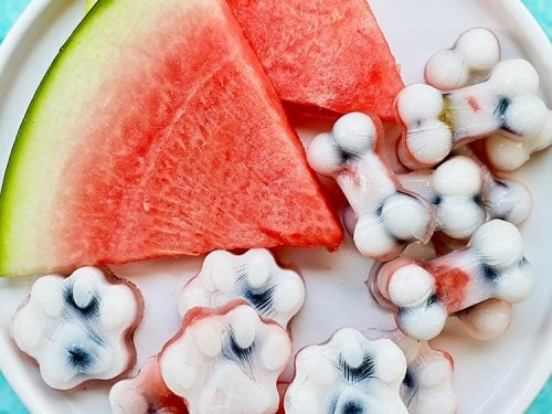 Homemade Frozen Watermelon Dog Treats (Pupsicles) • Daisybeet