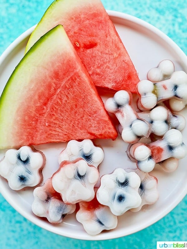Frozen dog treats: watermelon, blueberry, yogurt dog treats