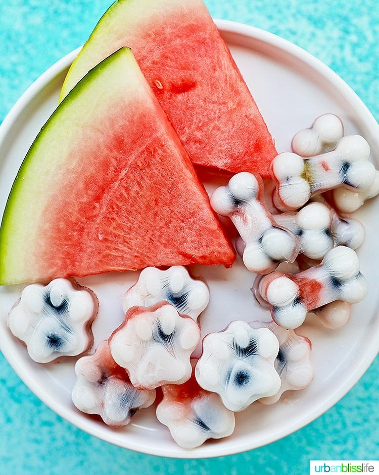 Frozen dog treats: watermelon, blueberry, yogurt dog treats