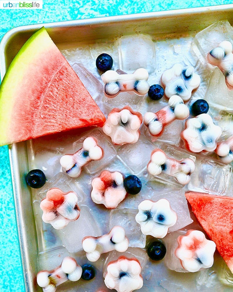 frozen watermelon dog treats on ice tray