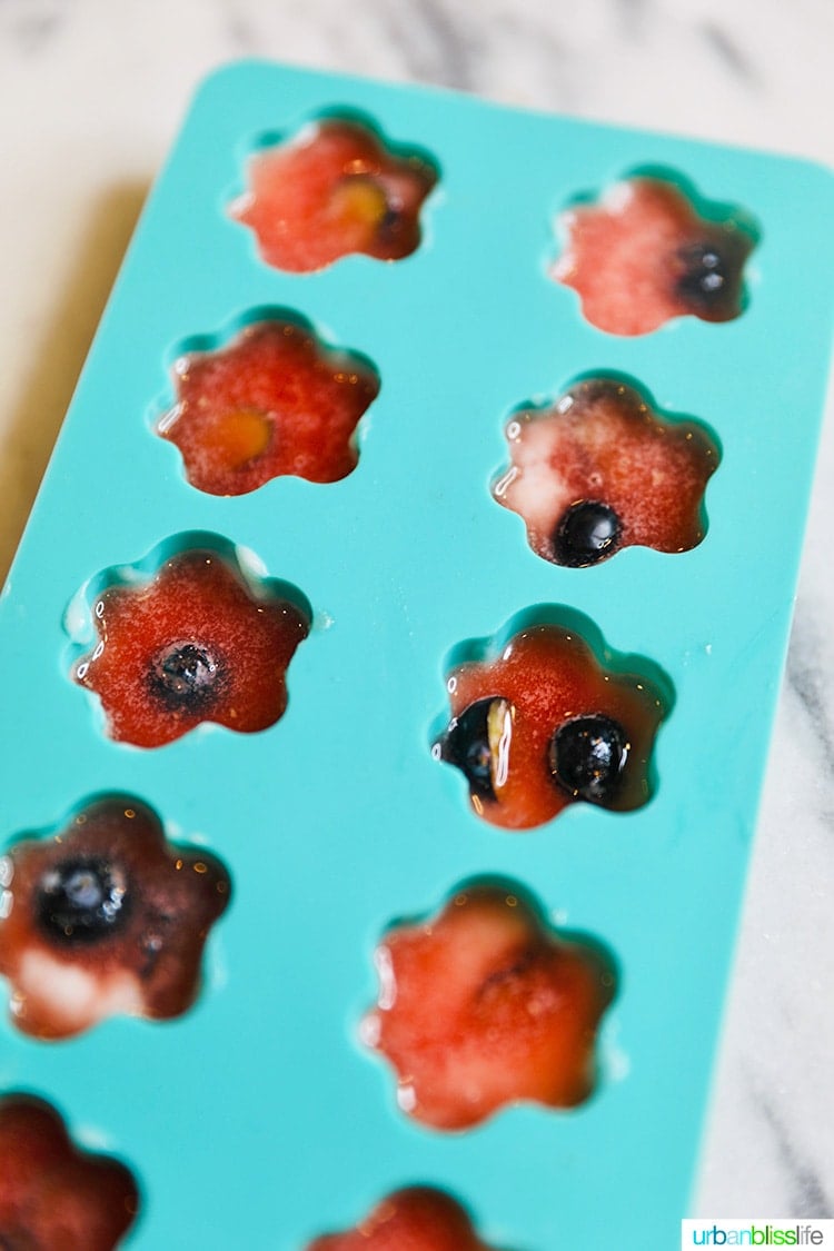 Watermelon Dog Treat Popsicles - Barefeet in the Kitchen