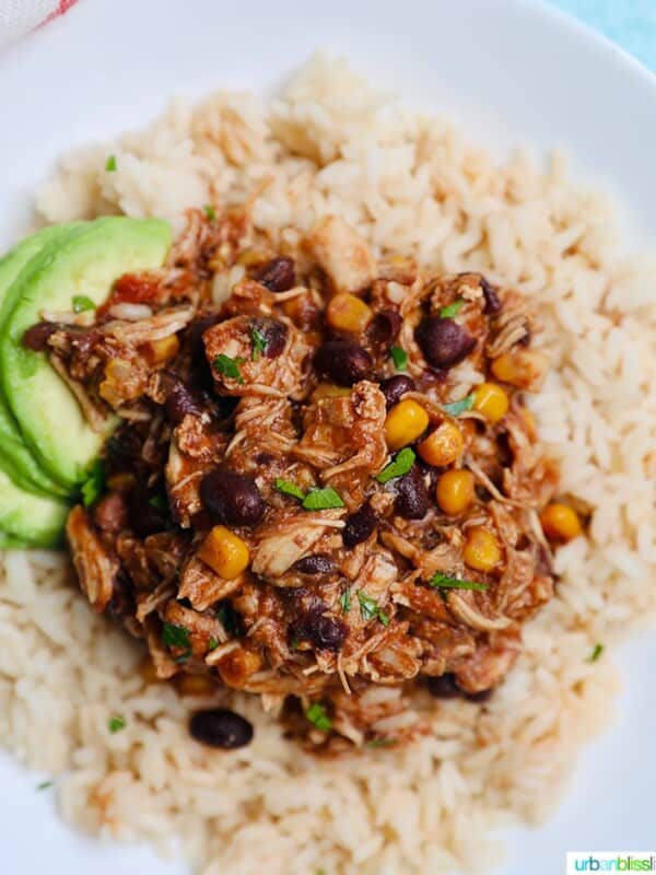 Instant Pot Fiesta Chicken