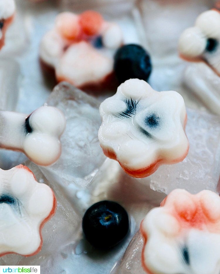 closeup of frozen dog treats over ice