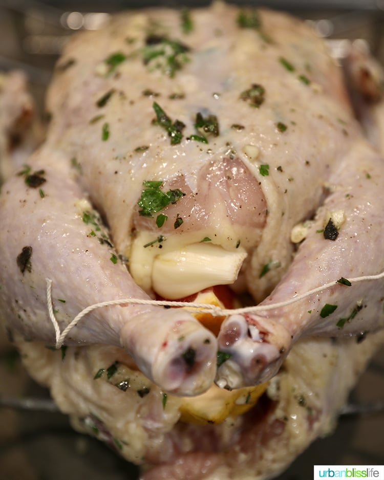 roast chicken ready to go into the oven