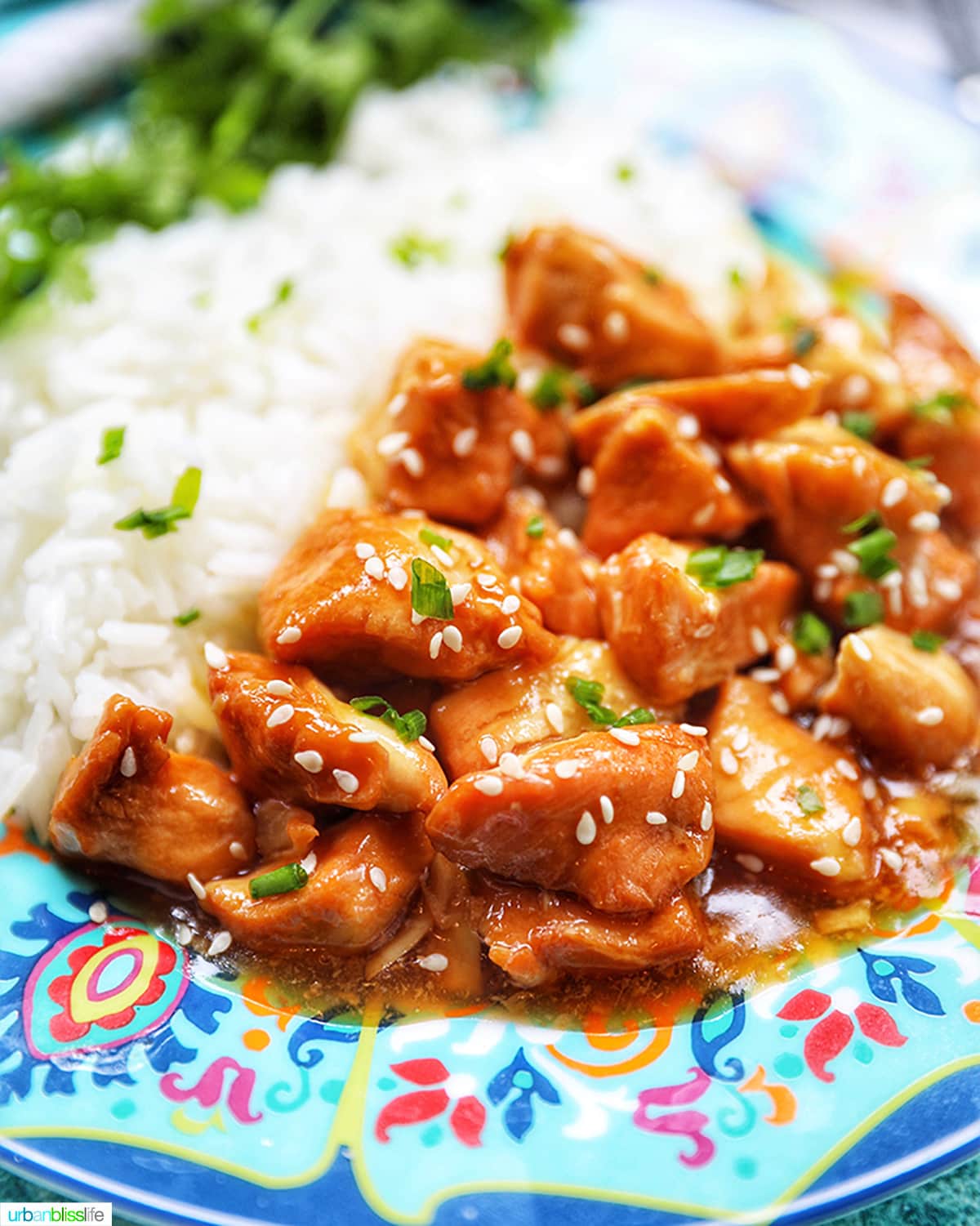 Honey Garlic Chicken using Instant Pot - My DairyFree GlutenFree Life