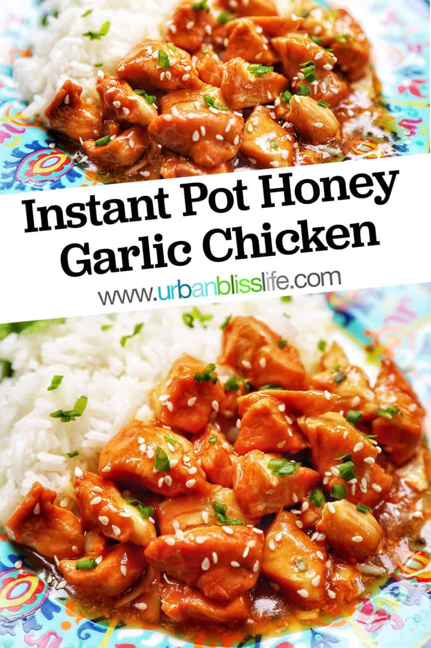 image of Instant Pot Honey Garlic Chicken with title text