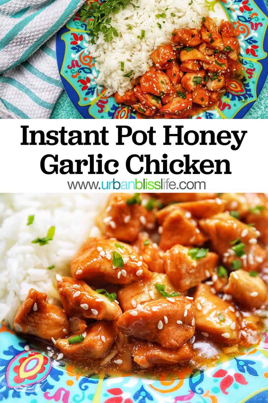 Instant Pot Honey Garlic Chicken