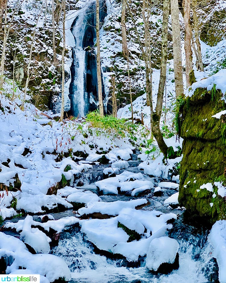 beautiful Oirase Gorge in Aomori Prefecture Japan