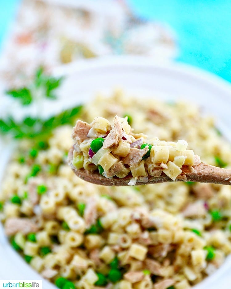 spoonful of tuna pasta salad