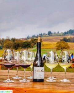 Stoller wine bottle and red and white wine glasses against vineyard backdrop