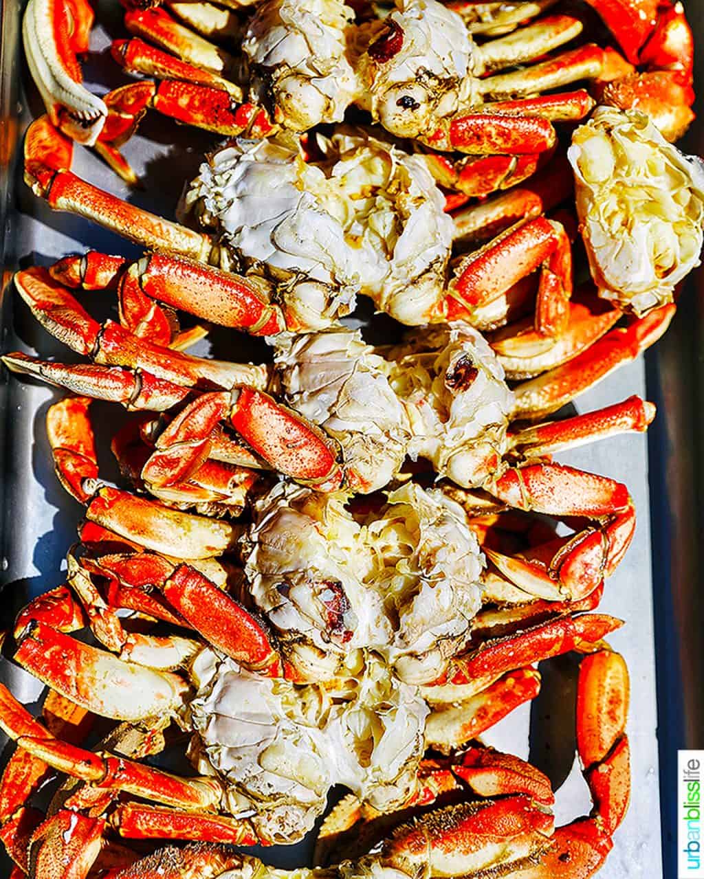 tray full of Dungeness crab at Kelly's Brighton Marina Rockaway, Oregon