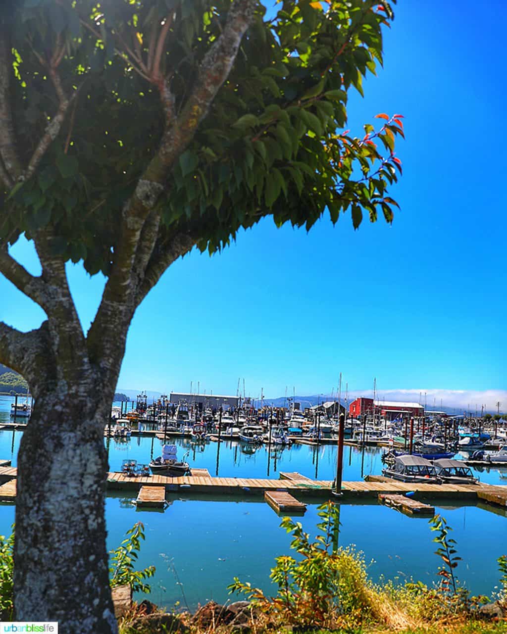 Garibaldi, Oregon marina