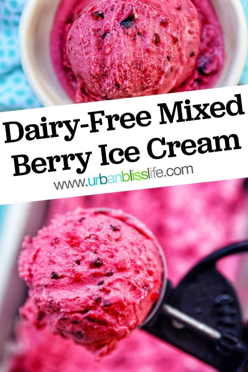main graphic of Dairy-Free Mixed Berry Ice Cream