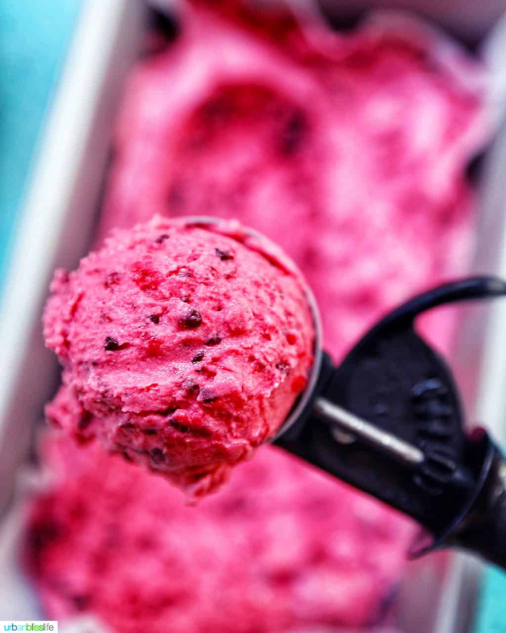 scoop of Dairy-Free Mixed Berry Ice Cream