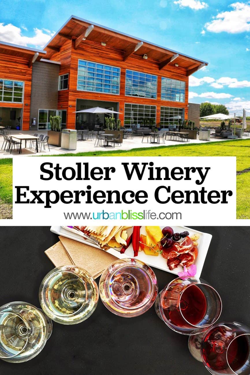 main graphic for Stoller Experience Center