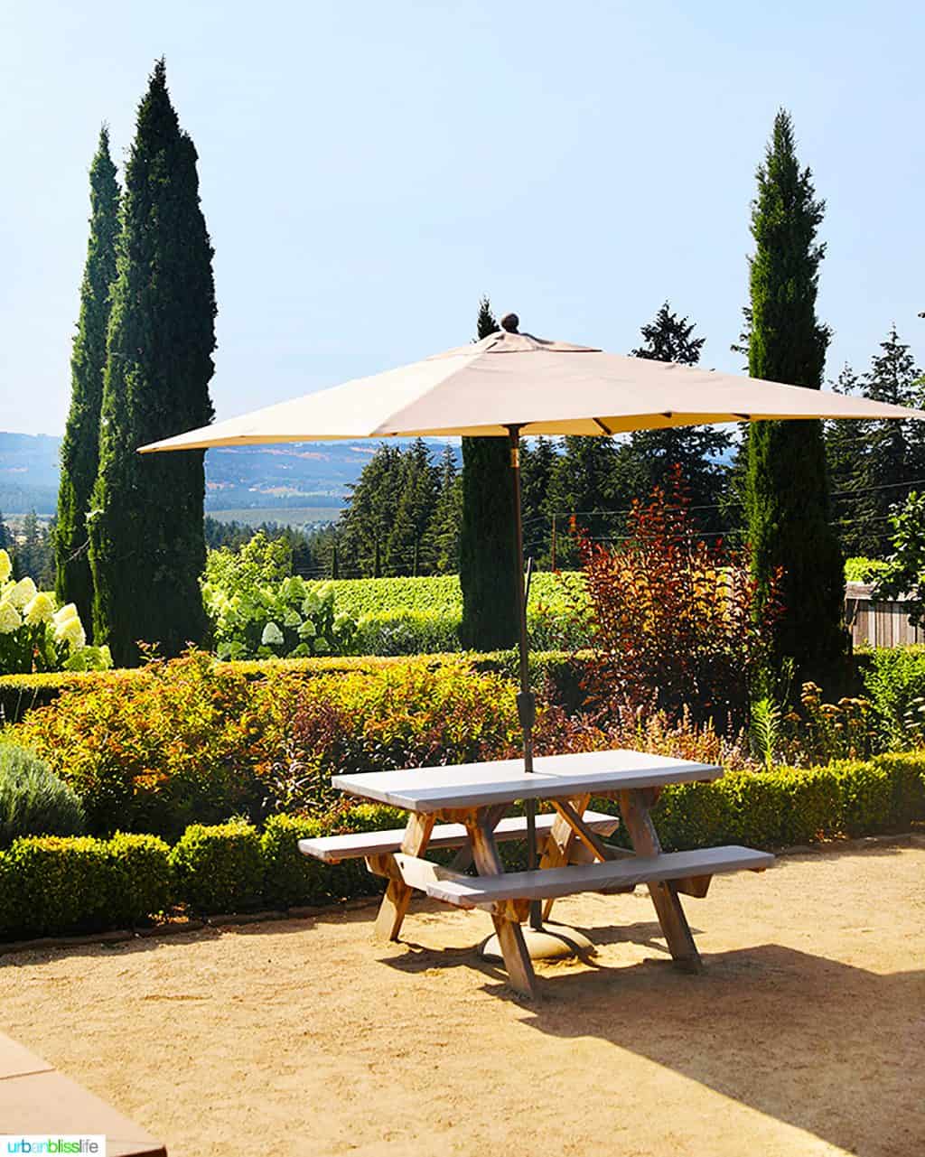 outdoor table for wine tasting at Alloro Vineyards