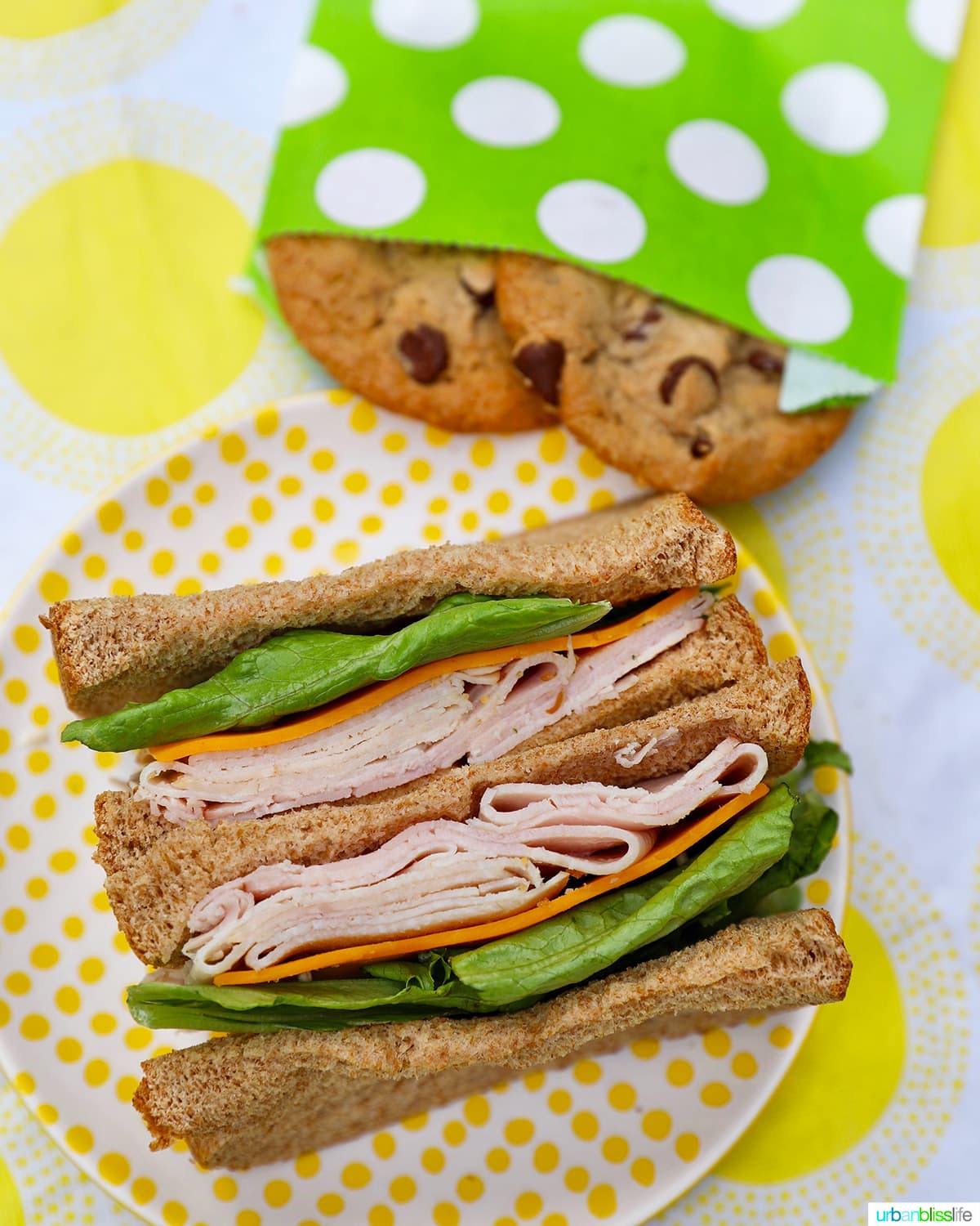 sandwich for healthy school lunches