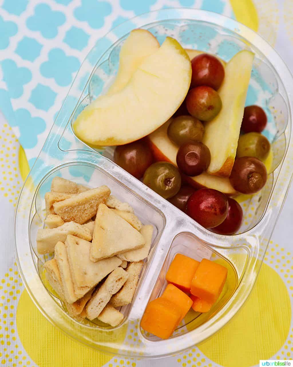 back to school lunch snack pack of fruit and cheese