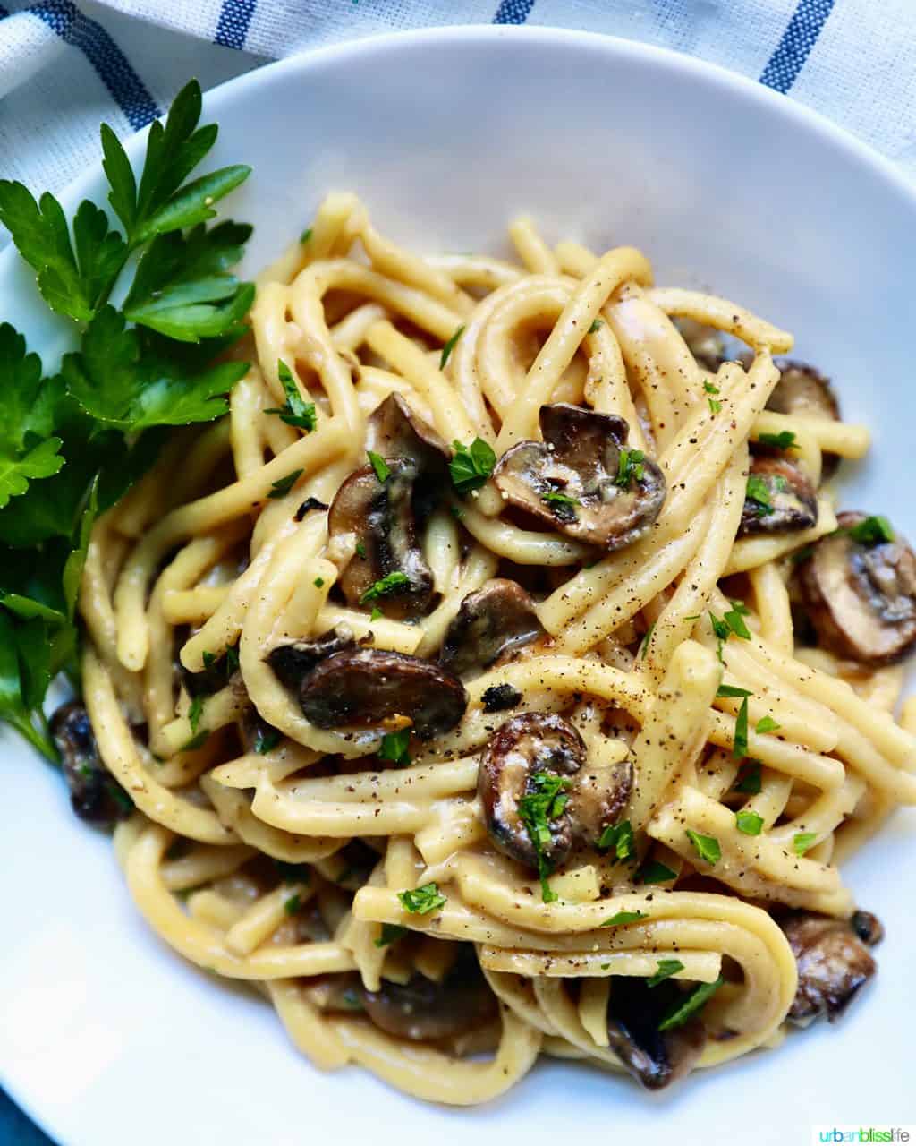 Creamy Pasta with Crispy Mushrooms FEATURE