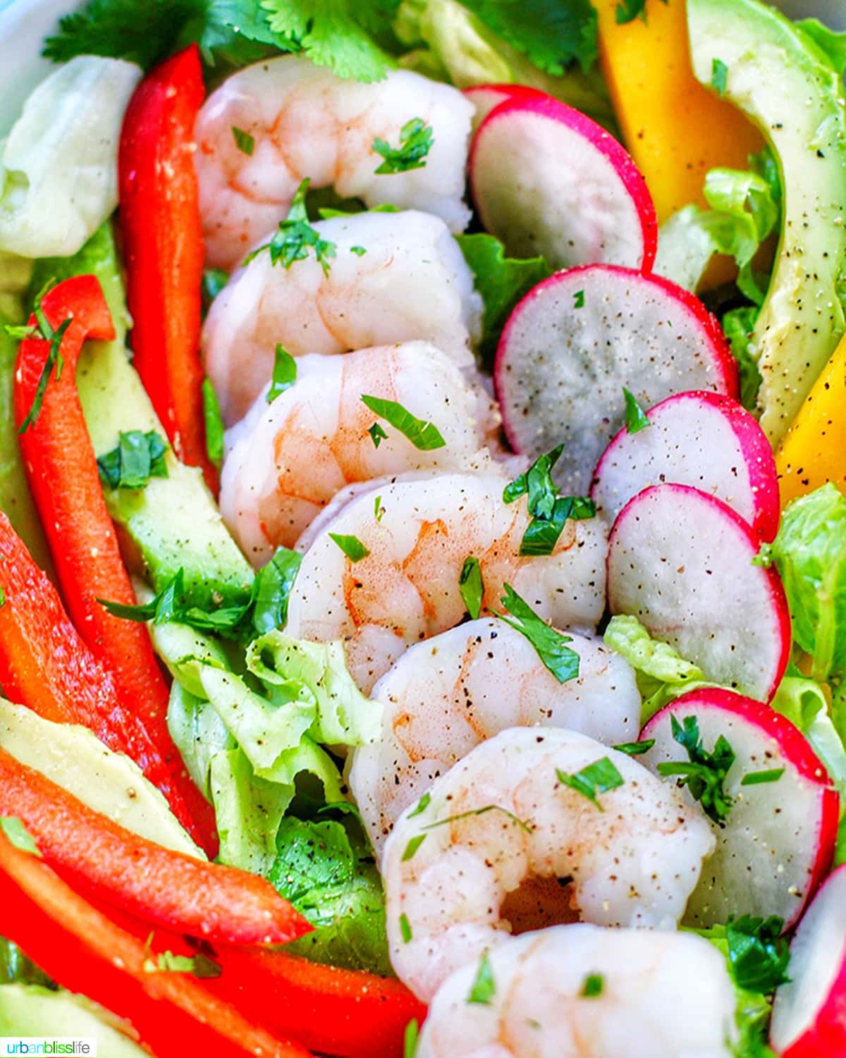 50 best salads for weight loss!