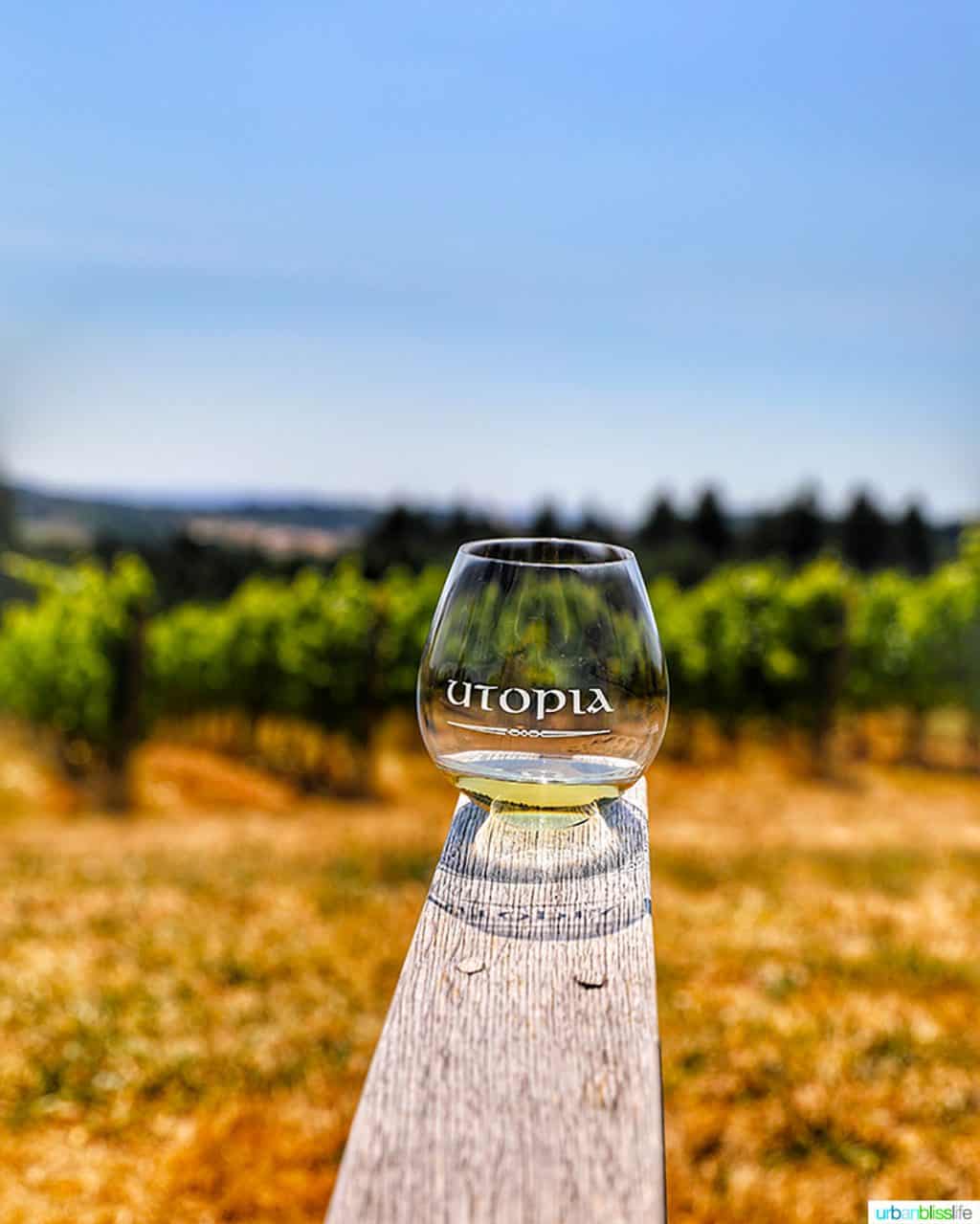 glass of Chardonnay at Utopia Vineyard