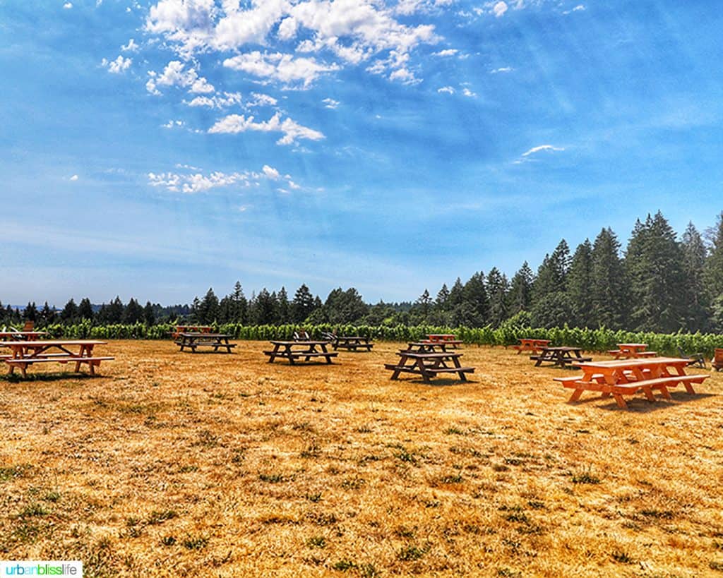 picnic tables at Utopia Vineyard 