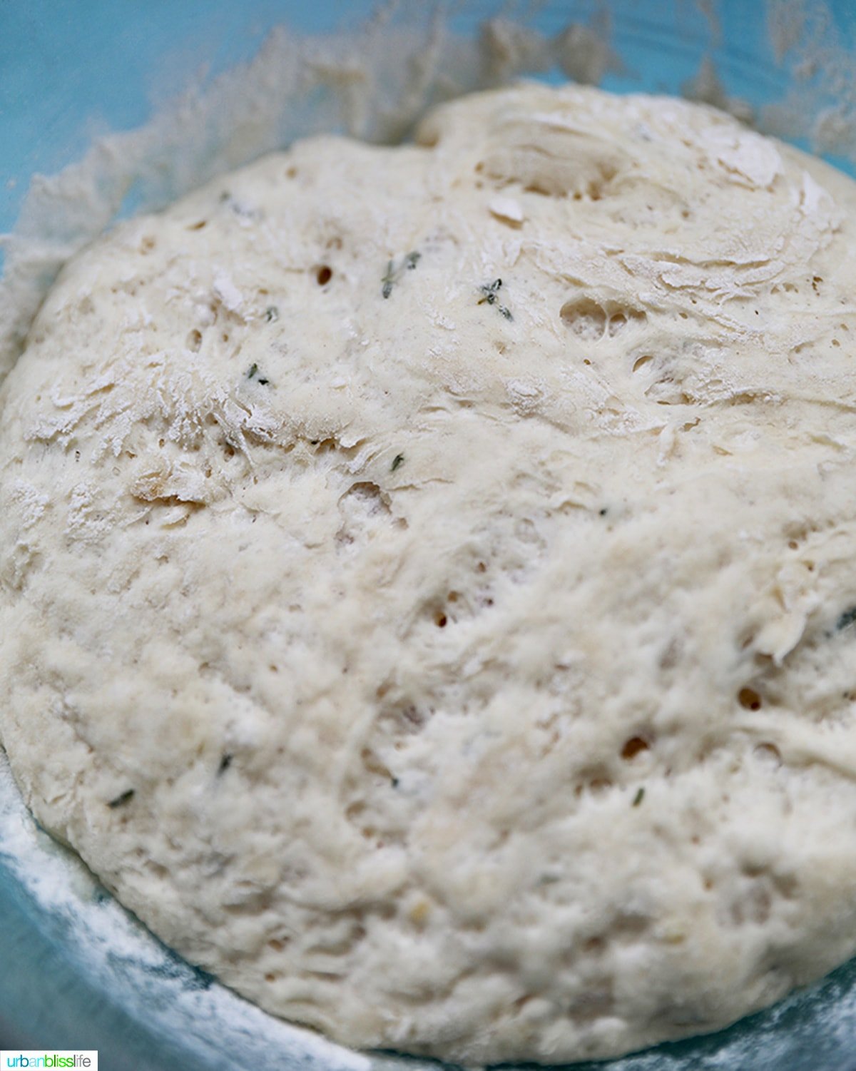 focaccia dough rising