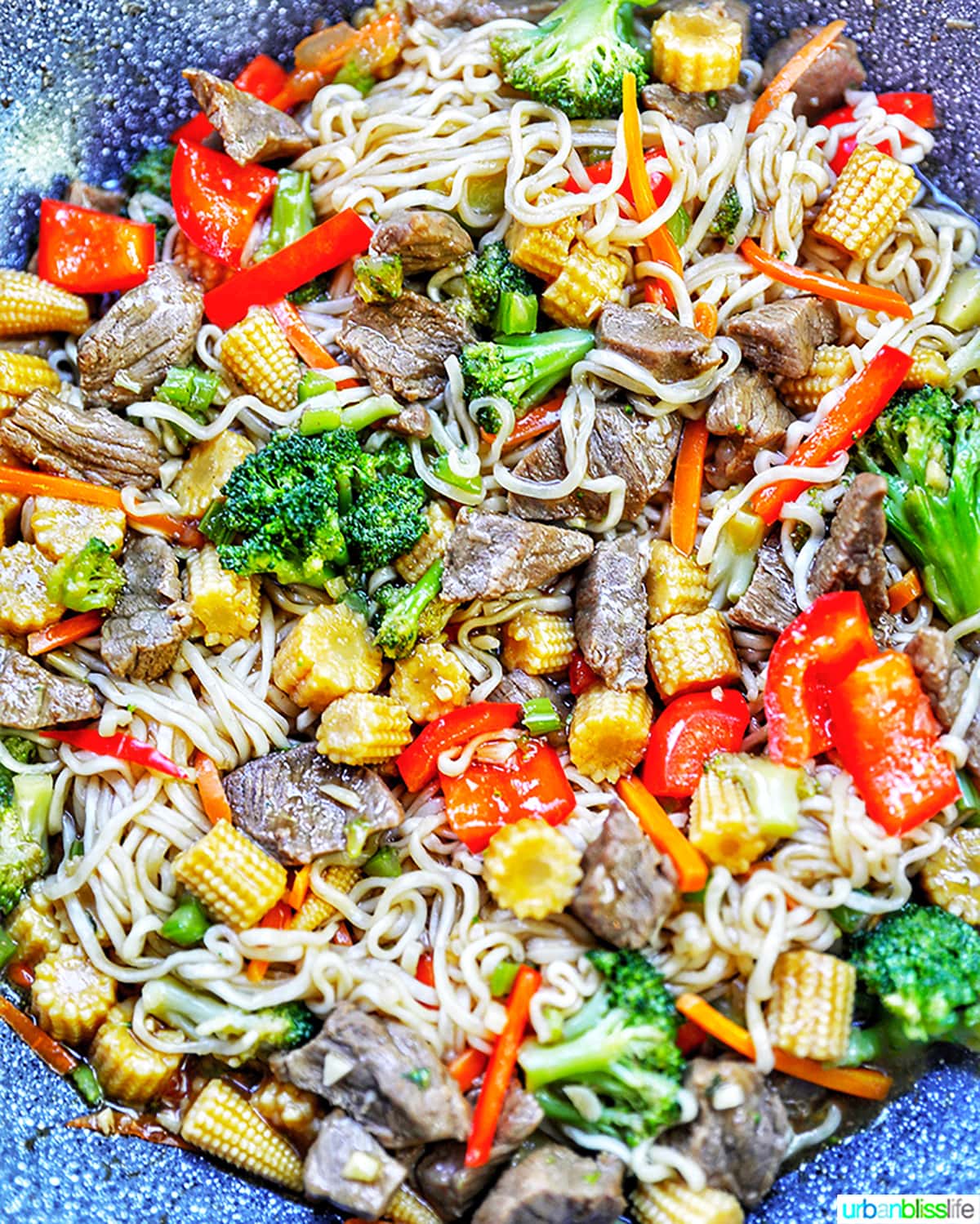 Beef Lo Mein Recipe noodles - Urban Bliss Life