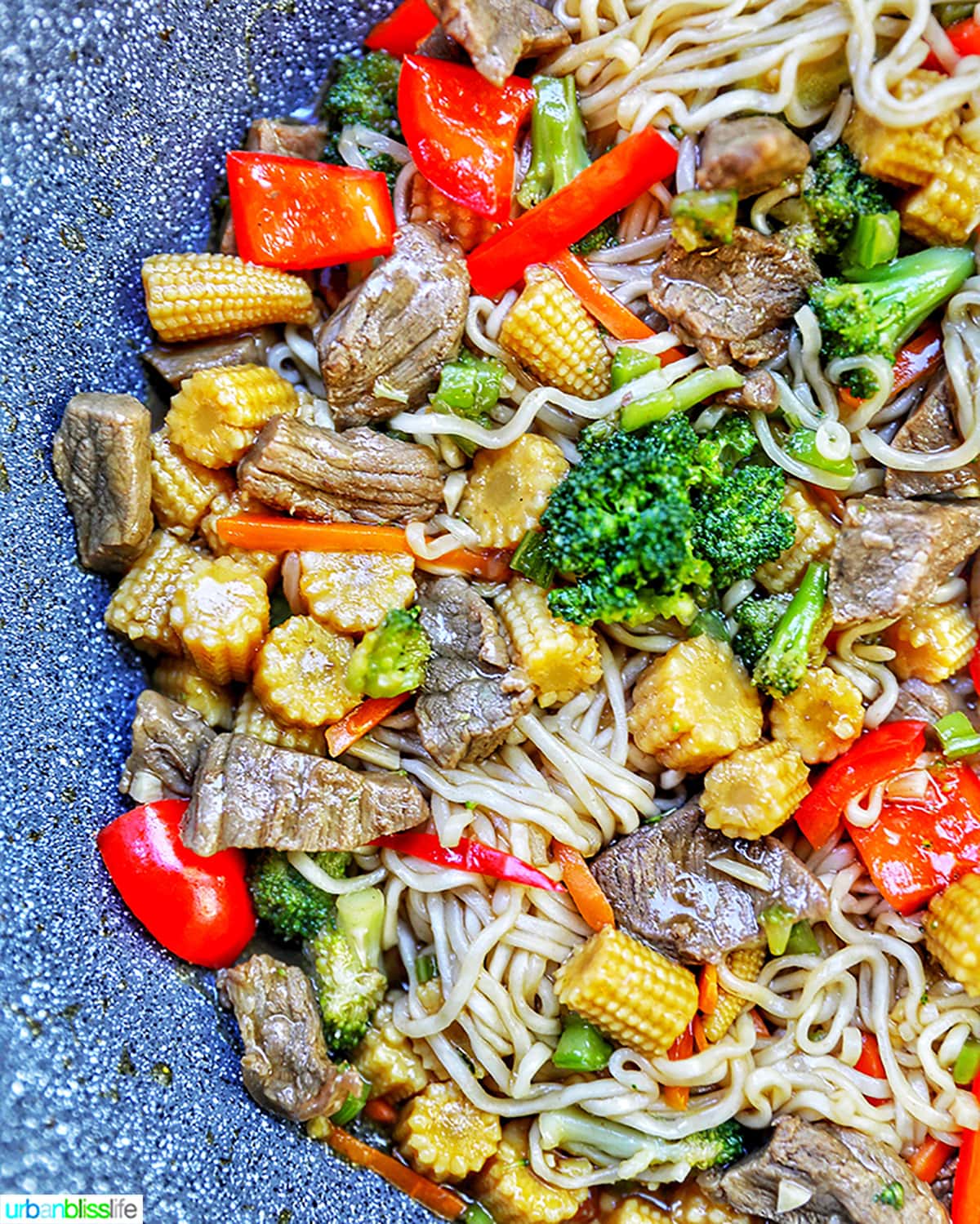 half side of beef lo mein in pan