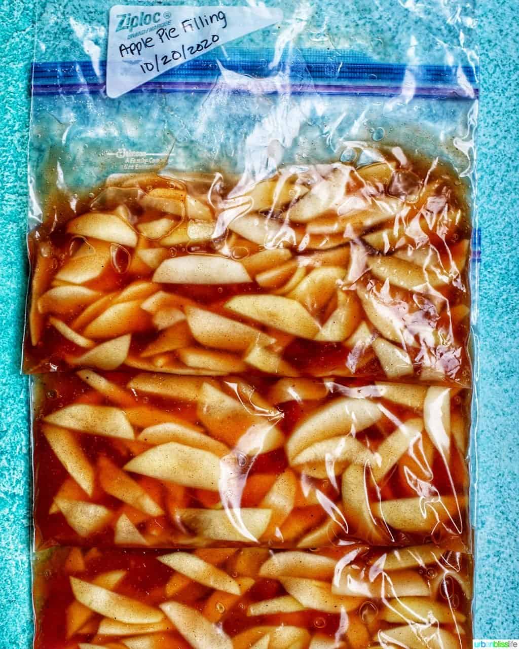 freezer bags full of apple pie filling