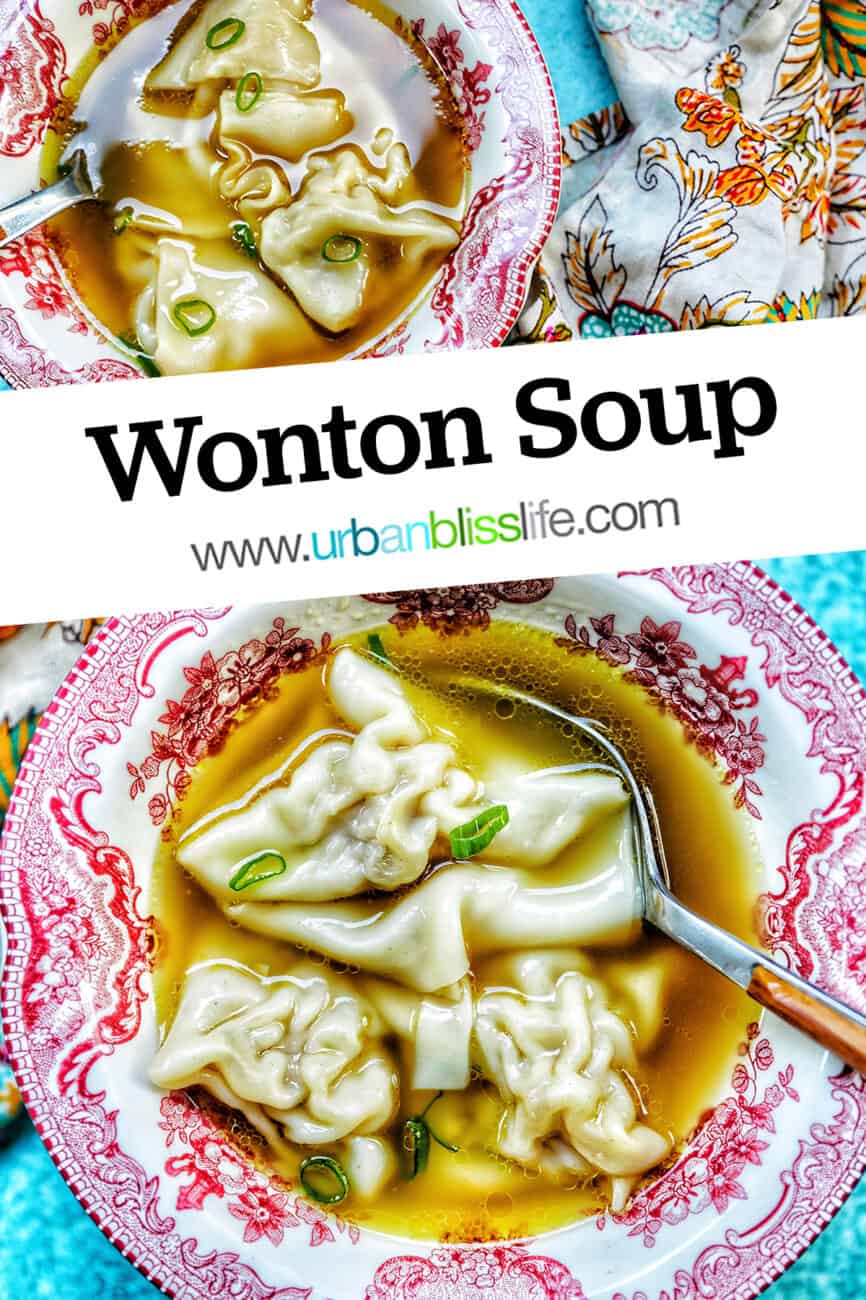 wonton noodle soup in red and white bowl with text overlay.