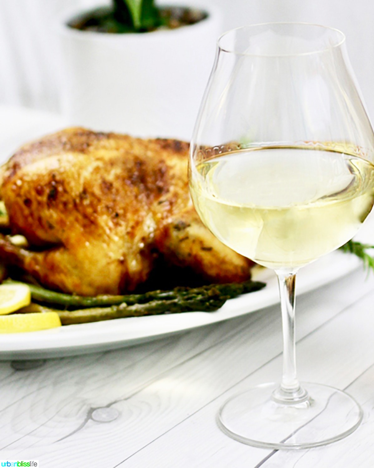 glass of white wine next to a chicken or turkey.