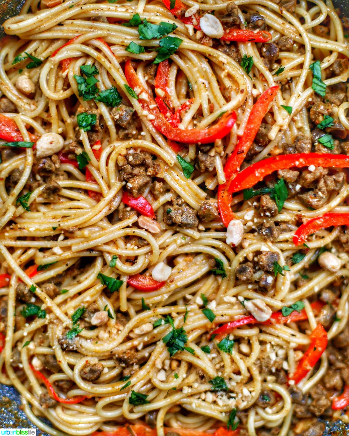 super closeup of Thai Red Curry Vegan Noodles