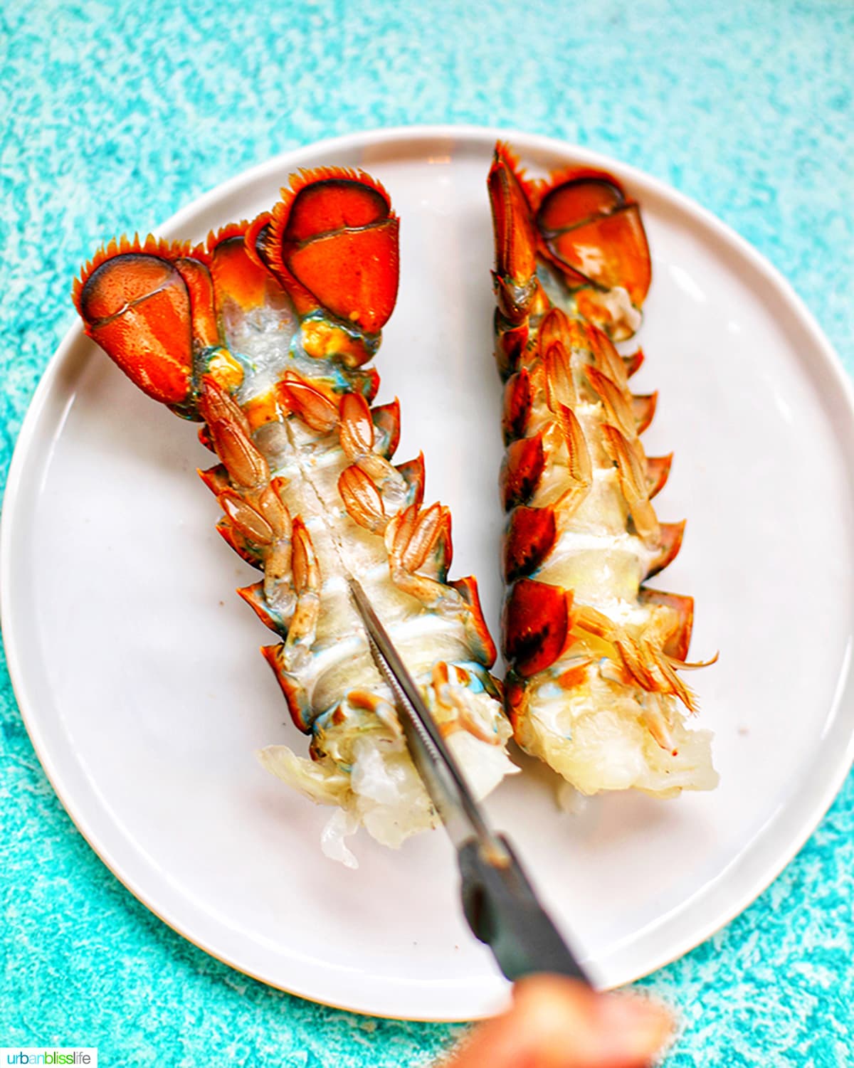 cutting lobster tails on a white plate against a blue background