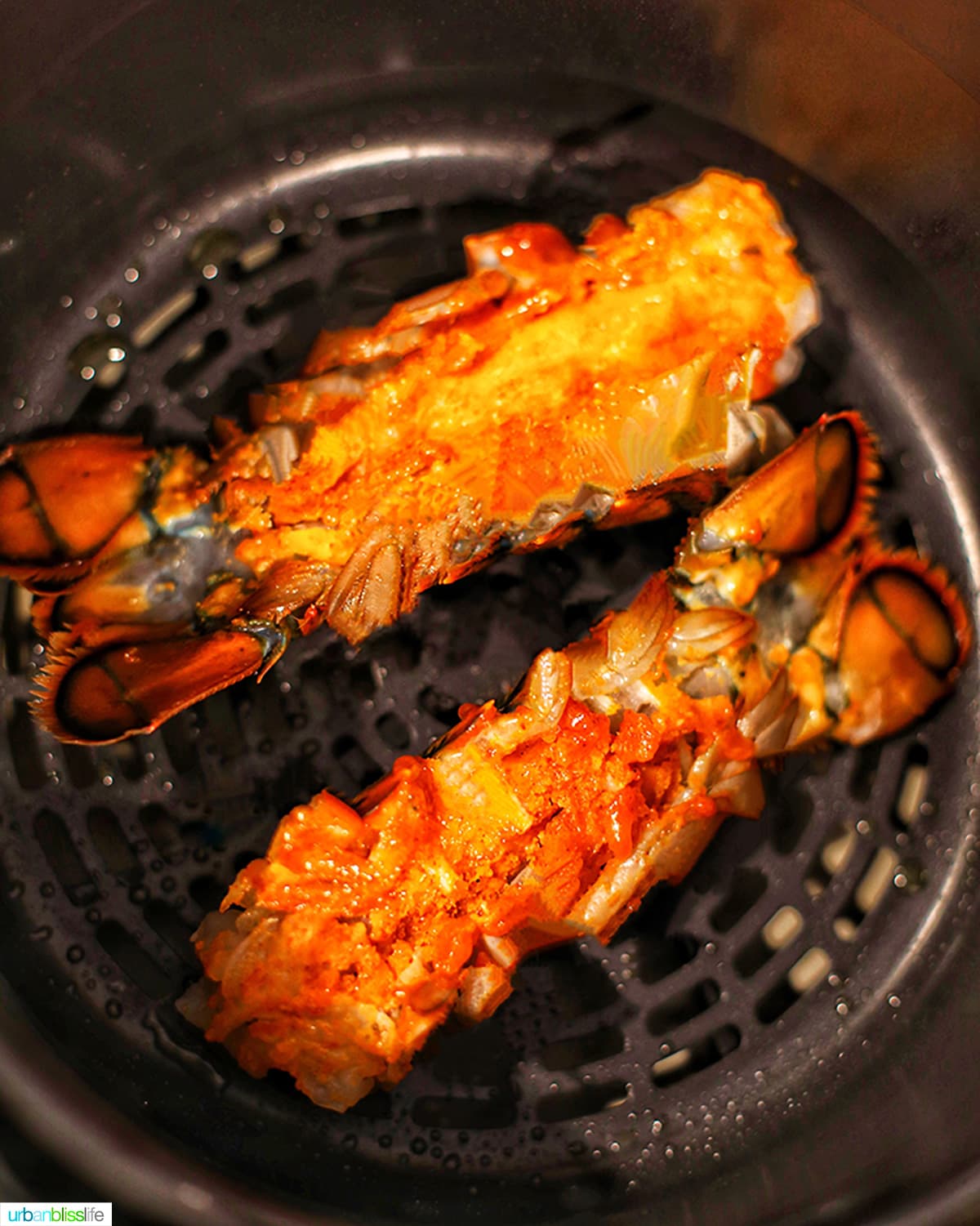 lobster tails in the Ninja Foodi air fryer basket