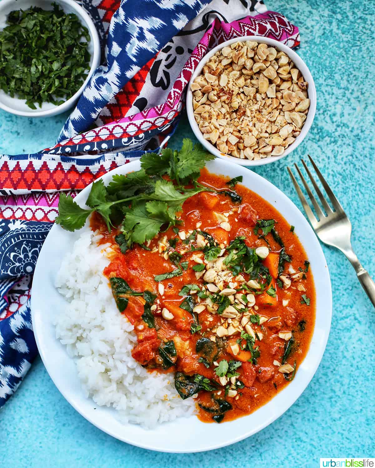Instant Pot African Peanut Stew topped with chopped peanuts and parsley, on a bed of rice with a fork and bowl of extra peanuts.