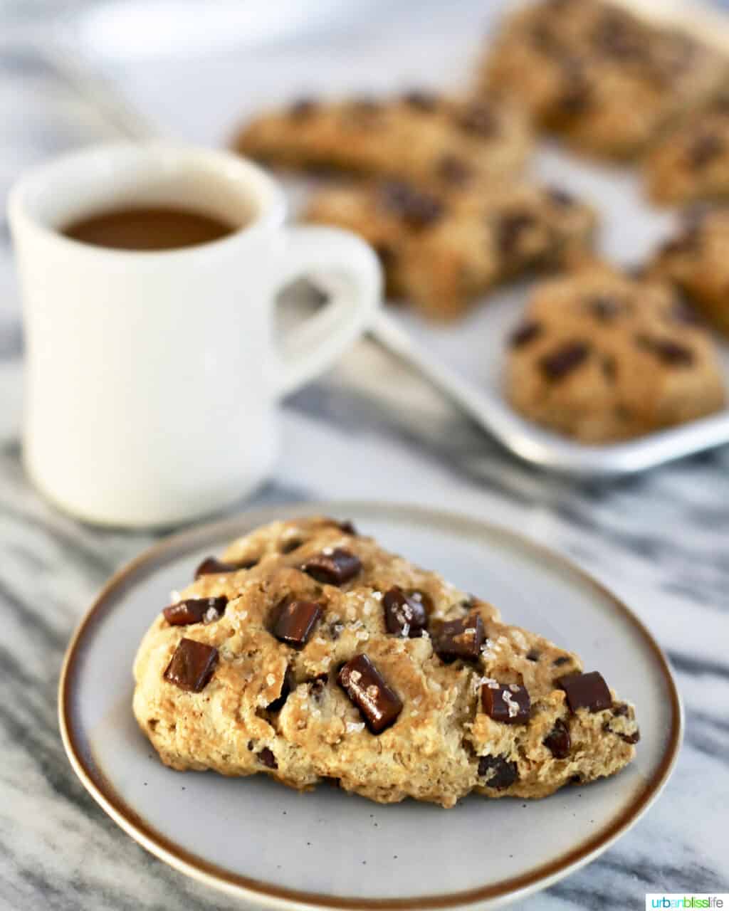 mocha chocolate chip scones with coffee cup